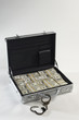 Briefcase Full of Money