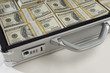 Briefcase Full of Money
