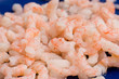 Shrimps