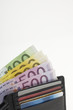 Wallet Full of Money