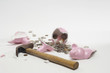 Broken Piggy Bank