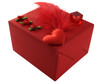 red gift with feather