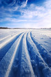 tracks in snow