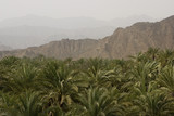 Photo: Bidyah, UAE, View from watchtower of area surrounding Al Bidyah Mosque built in 1446 Bidyah, UAE, View from watchtower of area surrounding Al Bidyah Mosque built in 1446