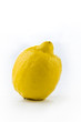 one singe lemon one singe lemon