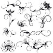 Decorative Floral Design Elements