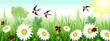 Spring time with daisies, ladybugs and swallows