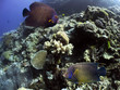 Cairns3