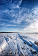 tracks in snow
