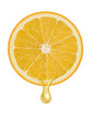 Orange illustration 4