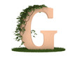 Letter G