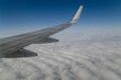 WIng view