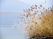 Lac du bourget