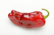 Red chile pepper