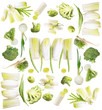 Green vegetables in health collage