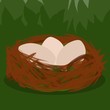 Bird's Nest