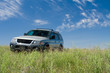 car on green field