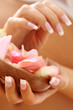hands care. Female hands holding rose petals