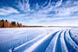 tracks in snow tracks in snow