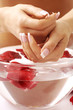 body care - nails