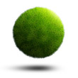 Grass planet Grass planet