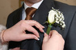 Groom with buttonhole