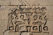 9147 - Kom Ombo - Hieroglyphen