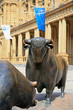 Photo en ligne au meilleur prix Bulle und B�r