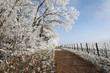 Ein Wintertag