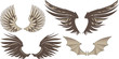 Wings