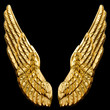 Golden Wings