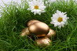 Photo: Uova d'oro Uova d'oro