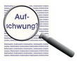 Aufschwung