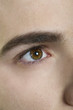 Auge