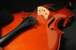..Violin