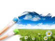 Wild daisies in the grass with a blue sky