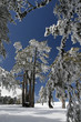 Olympos