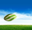 Rugby pass