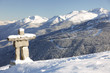 Blackcomb Sentry Blackcomb Sentry