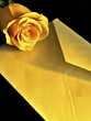 Rose And Envelop