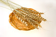 Cones