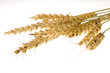 Grain