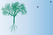 arbre et oiseaux