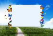 Butterflies spring sign