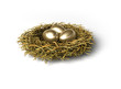Huevos de oro