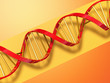 Dna