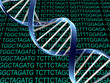 Foto: Dna Dna