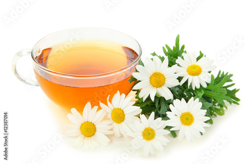 Herbal camomile tea isolated on white background