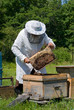 Beekeeper 43 Beekeeper 43