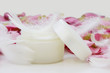 creme